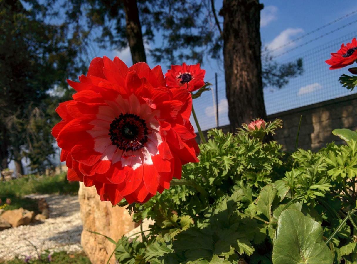 Villa 2 Fields Castellaneta Dış mekan fotoğraf